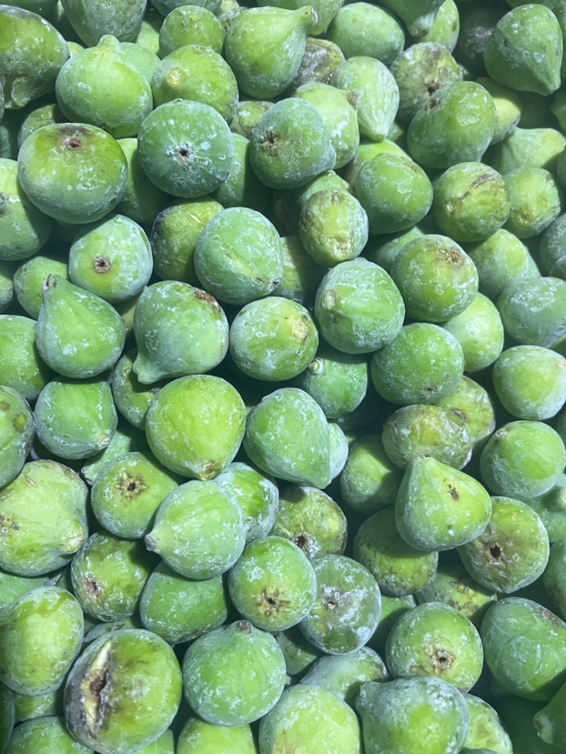 威海荣成青皮无花果大量供应工厂果，罐头原料FD原料等