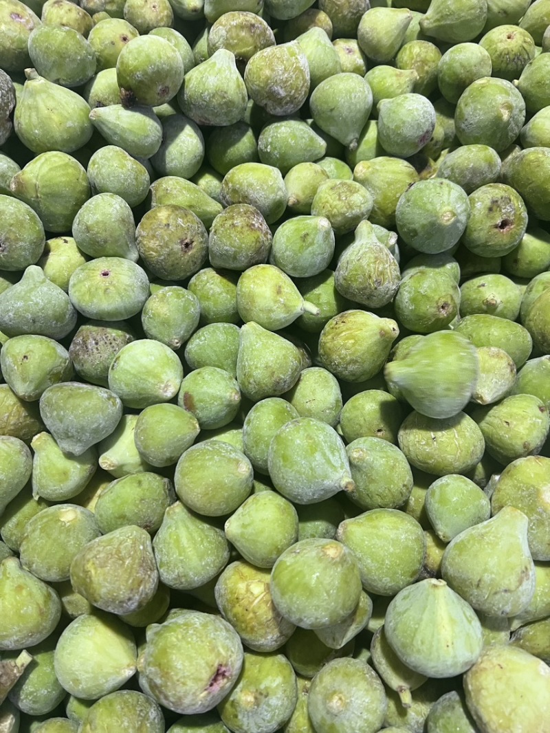 威海荣成青皮无花果大量供应工厂果，罐头原料FD原料等