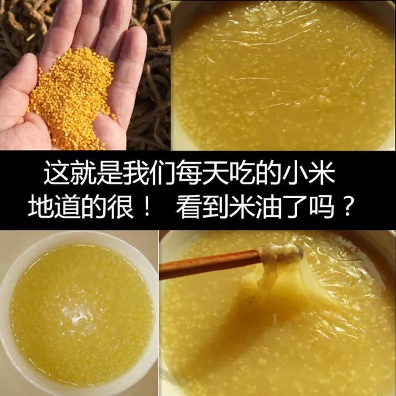 大同黄小米农家新米色泽金黄有米油