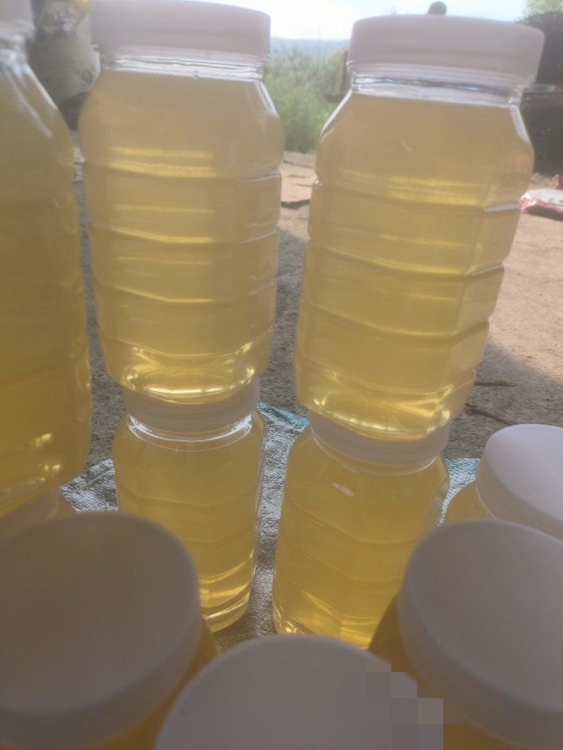 【自产自销】黑龙江百花深山养殖保质保量欢迎来电咨询