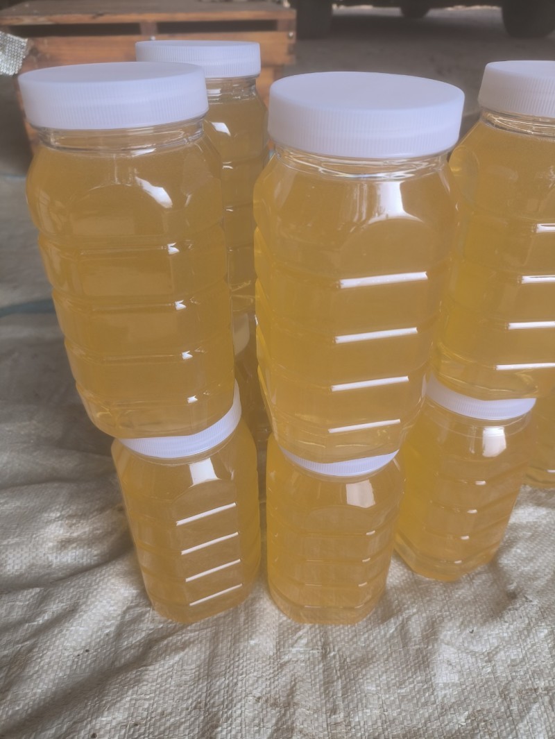 【自产自销】黑龙江百花深山养殖保质保量欢迎来电咨询