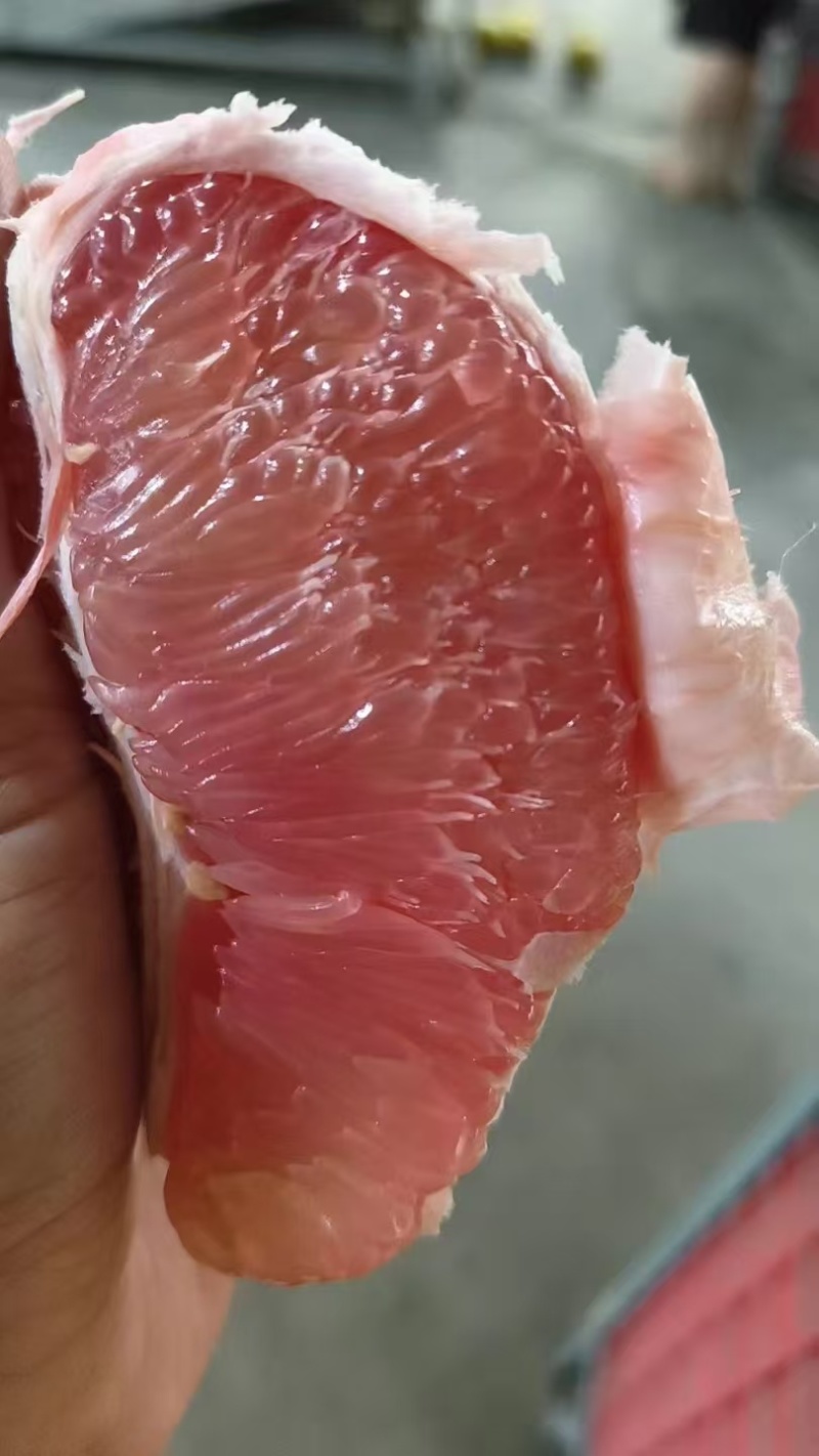 三红蜜柚产地一手货源，可以视频看货，对接市场电商客户