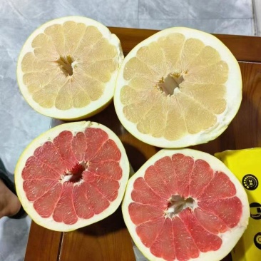 白柚，蜜柚，产地一手货源量大优惠，欢迎新老客户前来合作，