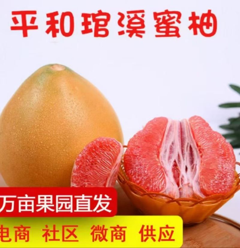 白柚，蜜柚，产地一手货源量大优惠，欢迎新老客户前来合作，