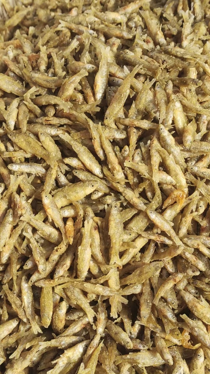 油炸麦穗鱼-鲫鱼