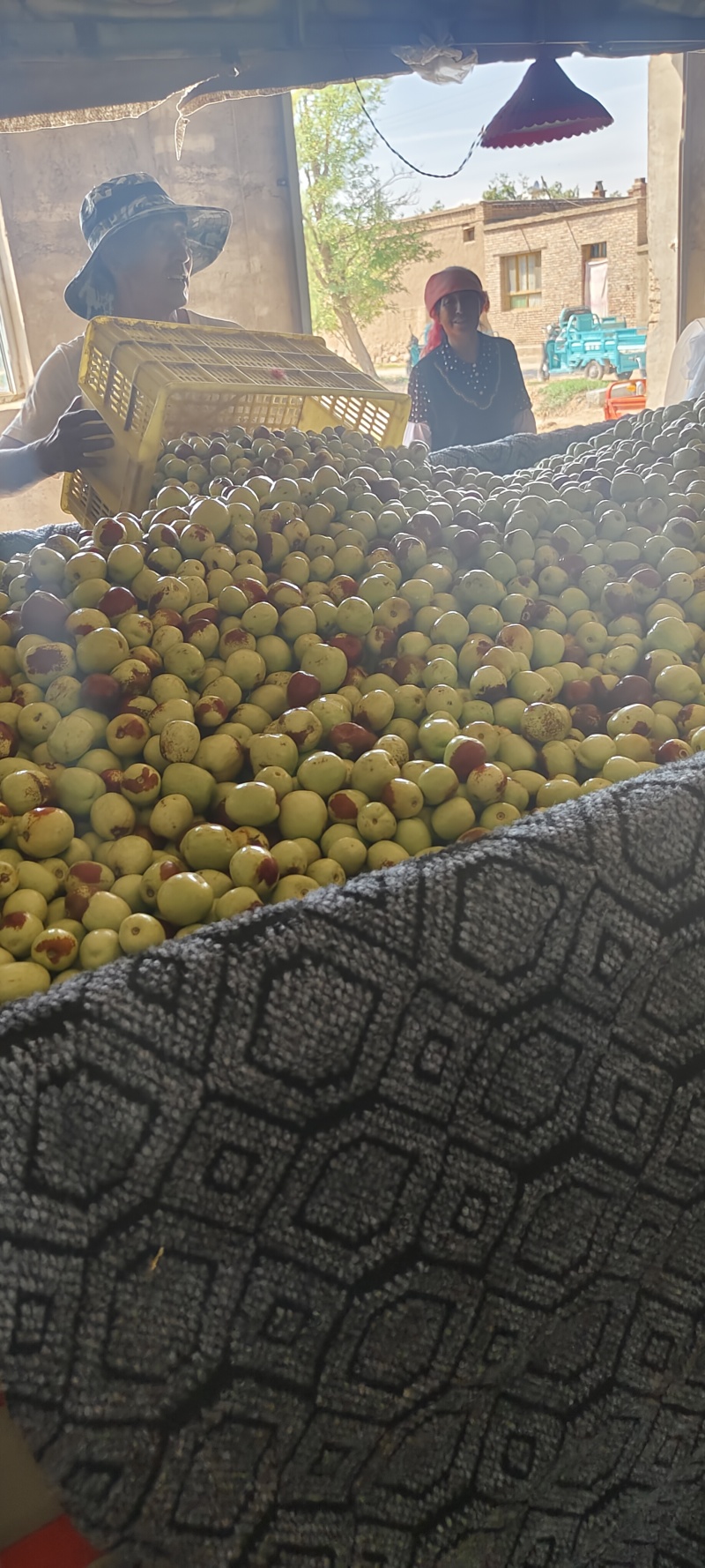 花麻鲜枣