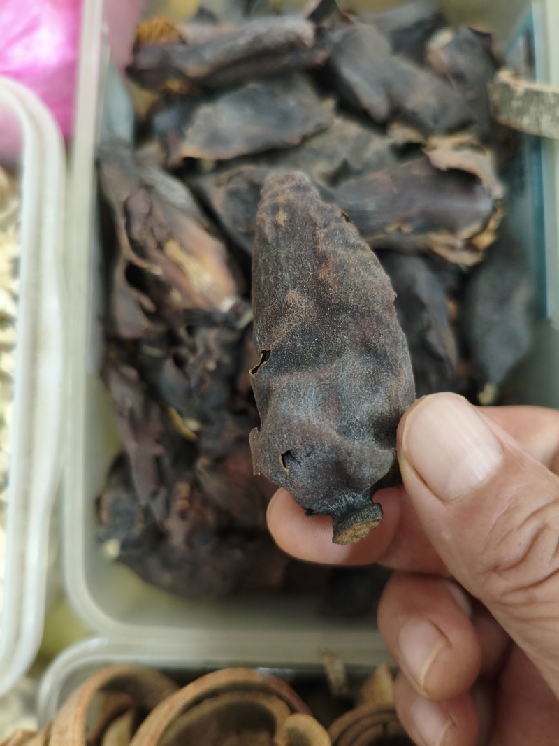 杜仲花
