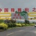 陕西眉县徐香弥猴桃种植基地一手货源诚招全网代理批发零售