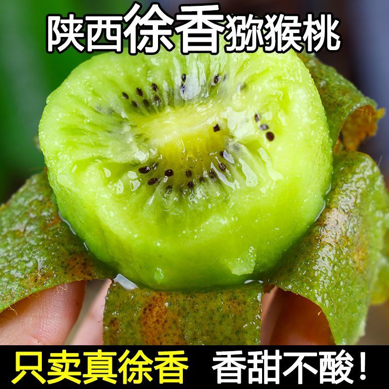 陕西眉县徐香弥猴桃种植基地一手货源诚招全网代理批发零售