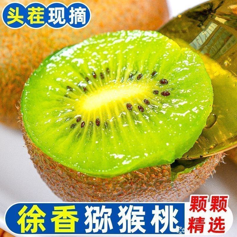 陕西眉县徐香弥猴桃种植基地一手货源诚招全网代理批发零售