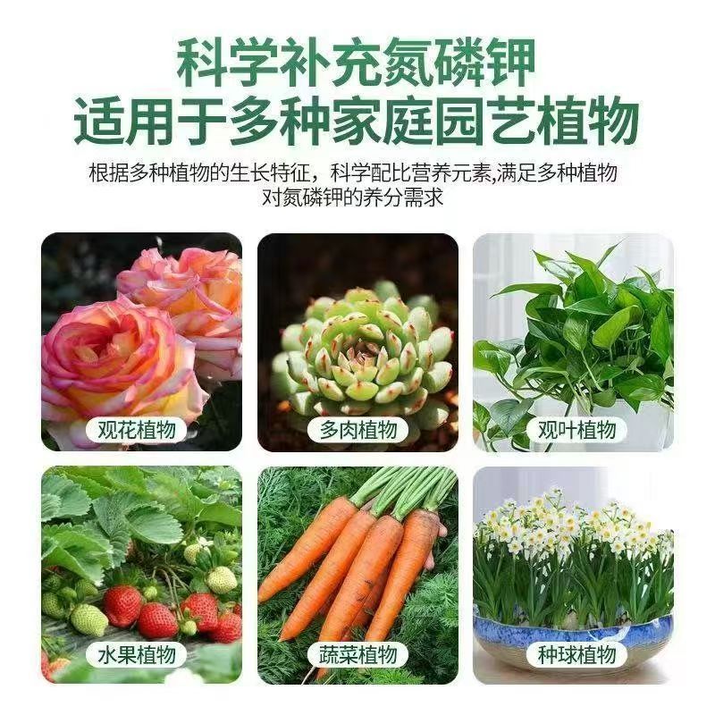 农盛佰亿菌快速生根提苗壮苗预防根腐让土壤更有力