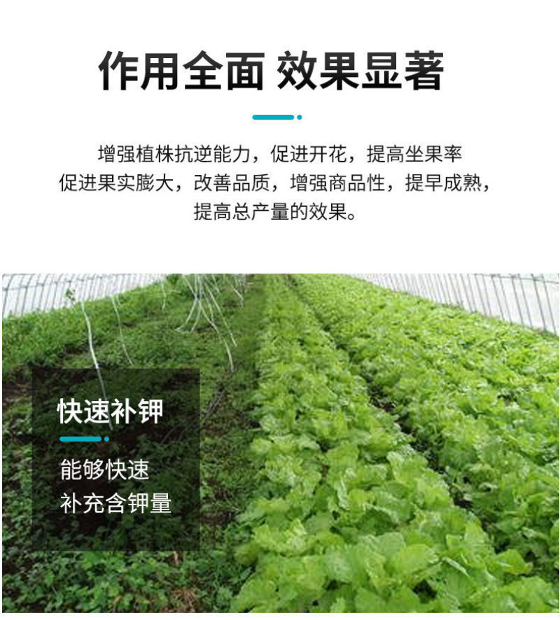工厂价直供现货速发纯硫基果蔬优果蔬之乡都在用