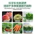 工厂直供价18-18-18纯硫基果蔬优好肥料效果说了算
