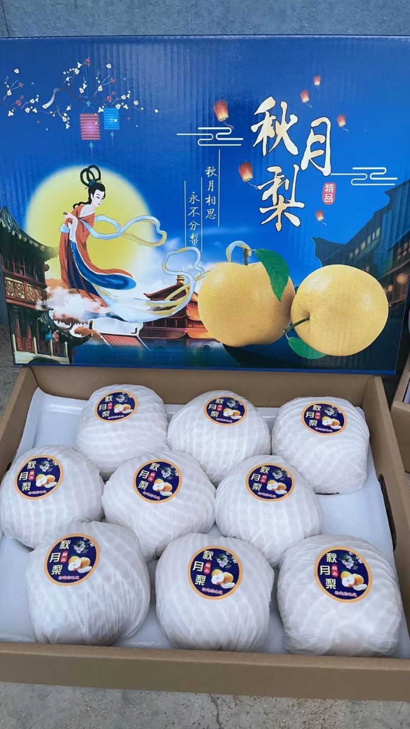 秋月梨礼盒大量供应，保质保量，欢迎各位老板联系
