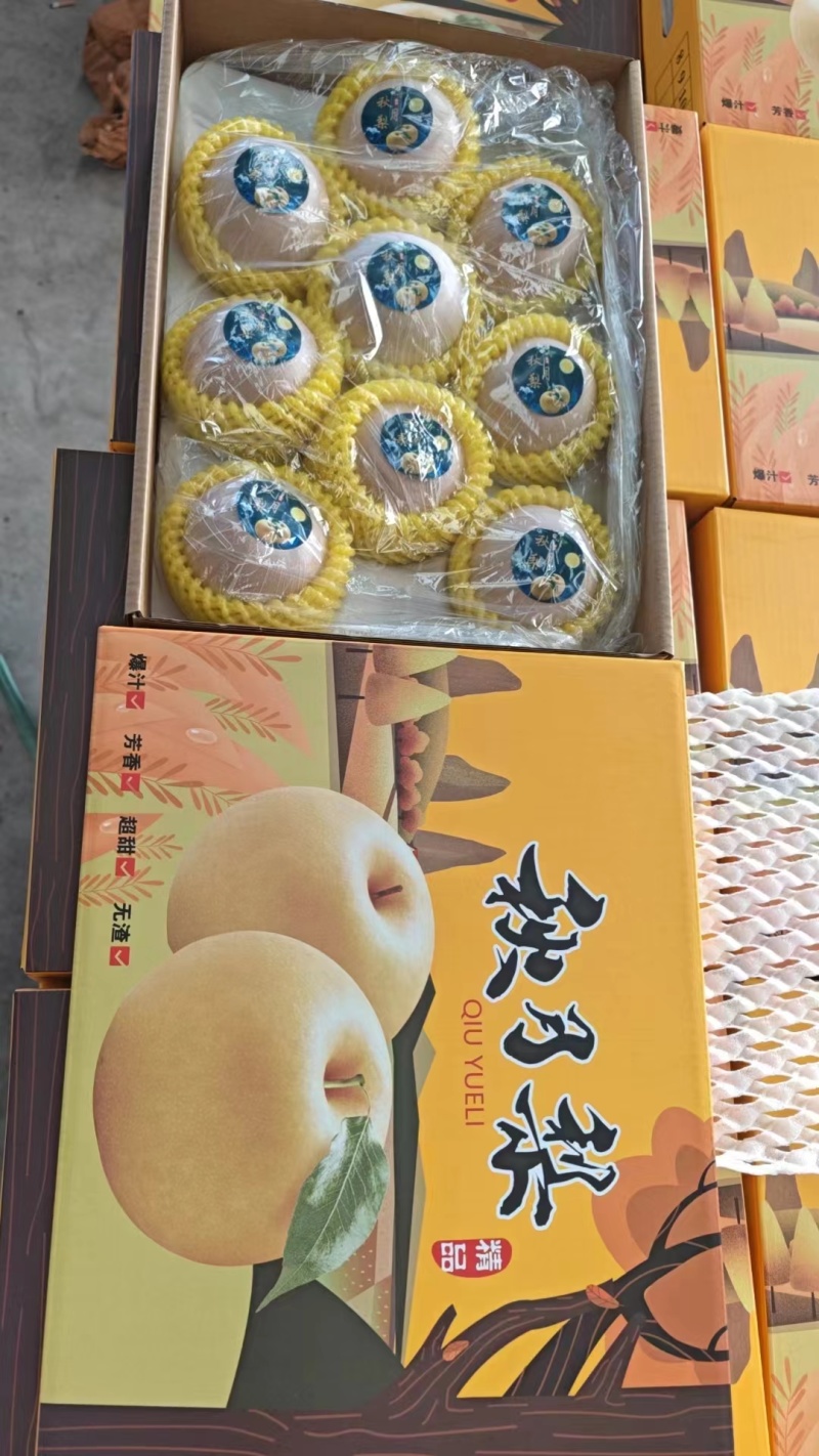 秋月梨礼盒大量供应，保质保量，欢迎各位老板联系