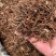 各种八角干枝大料色选纯片，无枝梗打粉，工厂电商，量大谈价