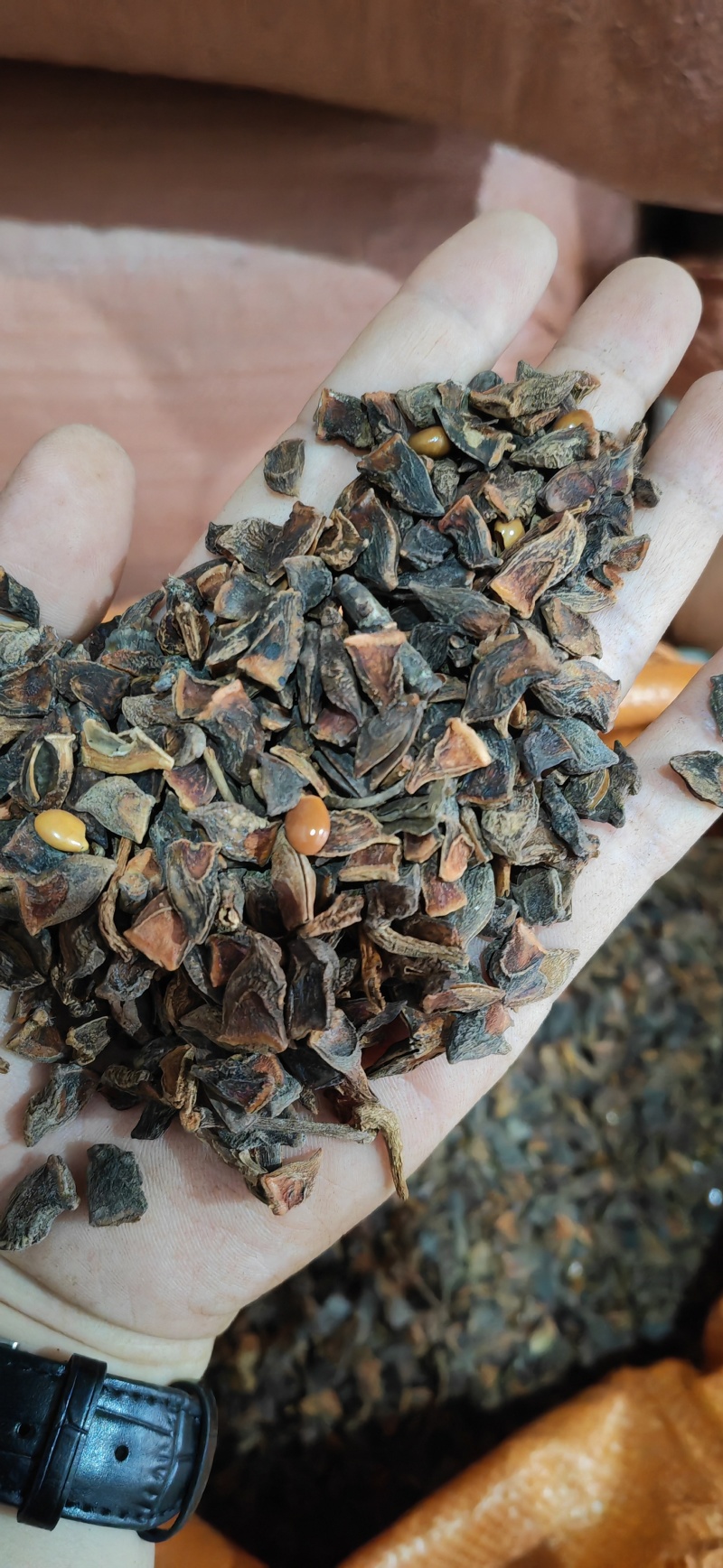 各种八角干枝大料色选纯片，无枝梗打粉，工厂电商，量大谈价