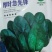 杜绝假货菠菜种子早熟杂交种子耐寒性强半圆形