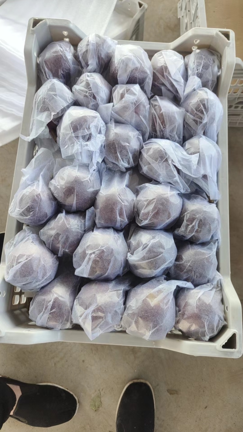 库存优质考密斯梨，包装好的，直接上车