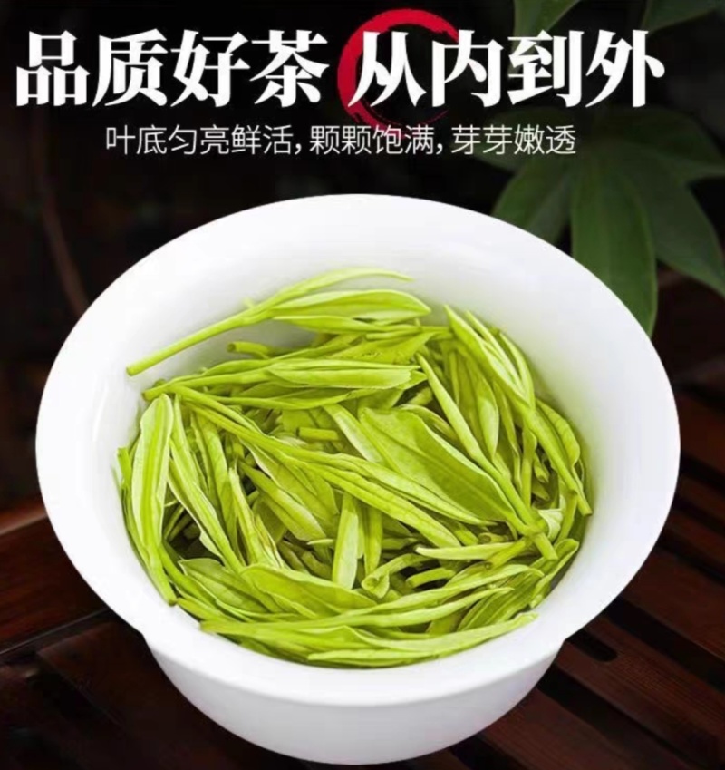 2025新茶茶农自产鲜香嫩芽贵州正安白茶明前正宗高山白茶