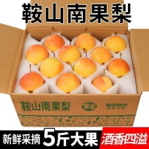 鞍山南果梨新鲜水果酸甜大果东北特产优质香水南国梨批发整箱