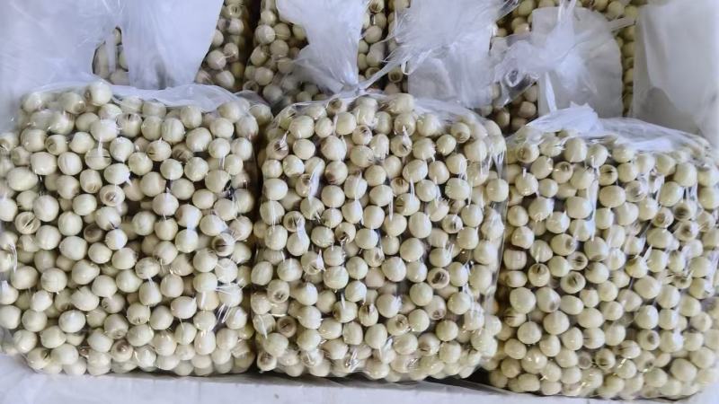 新鲜白莲子，基地直供，全国各地可发货**超市档口电商平台