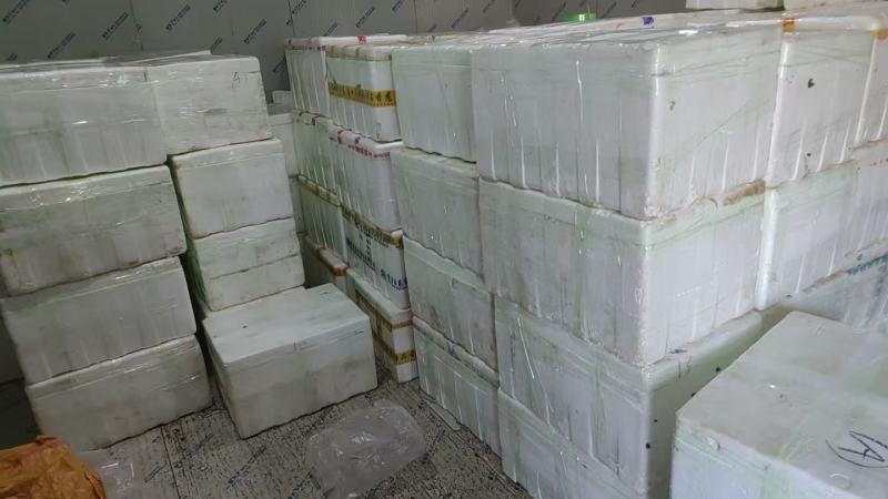 新鲜白莲子，基地直供，全国各地可发货**超市档口电商平台