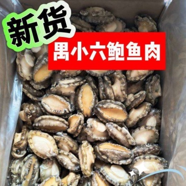 鲍鱼肉