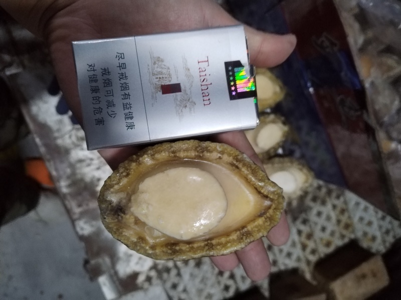 鲍鱼肉