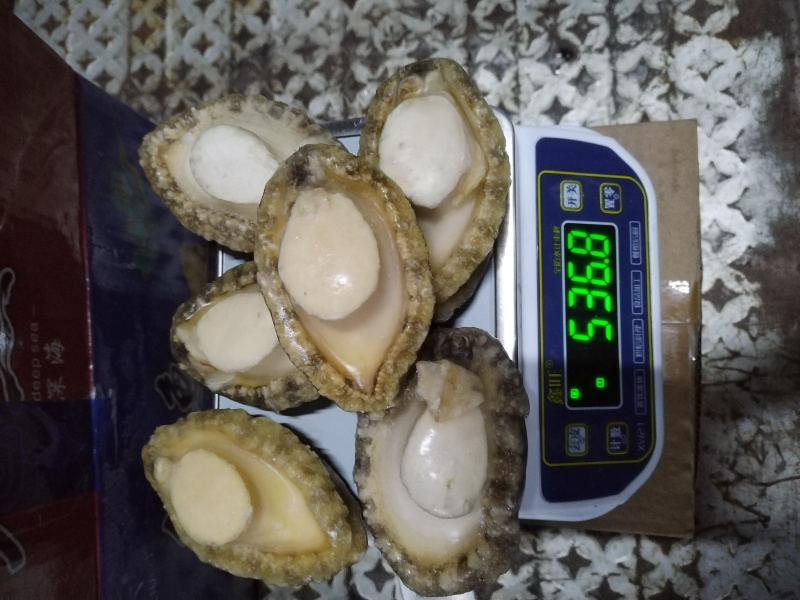 鲍鱼肉