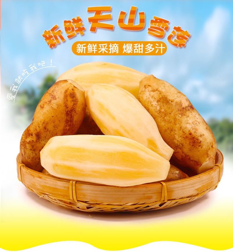 包邮【新鲜现挖】云南天山雪莲果新鲜整箱红心特级包邮现挖