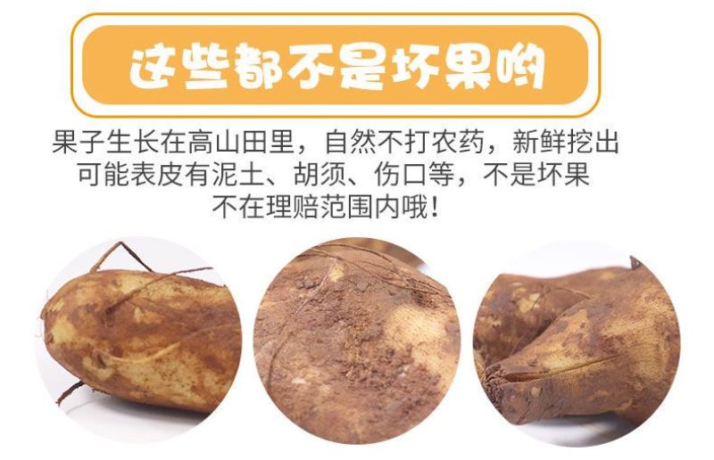 包邮【新鲜现挖】云南天山雪莲果新鲜整箱红心特级包邮现挖