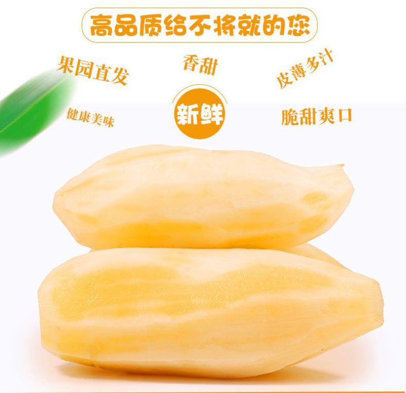 包邮【新鲜现挖】云南天山雪莲果新鲜整箱红心特级包邮现挖