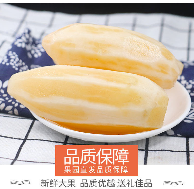 包邮【新鲜现挖】云南天山雪莲果新鲜整箱红心特级包邮现挖
