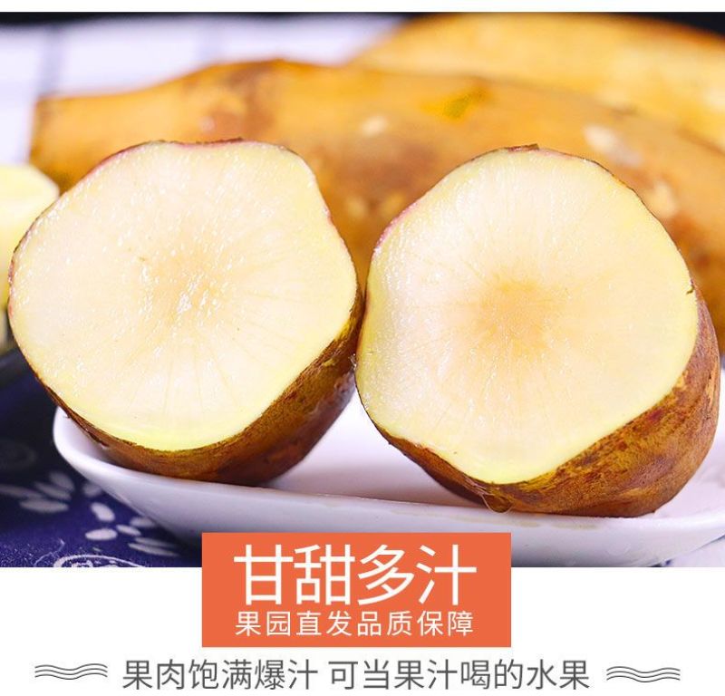 包邮【新鲜现挖】云南天山雪莲果新鲜整箱红心特级包邮现挖