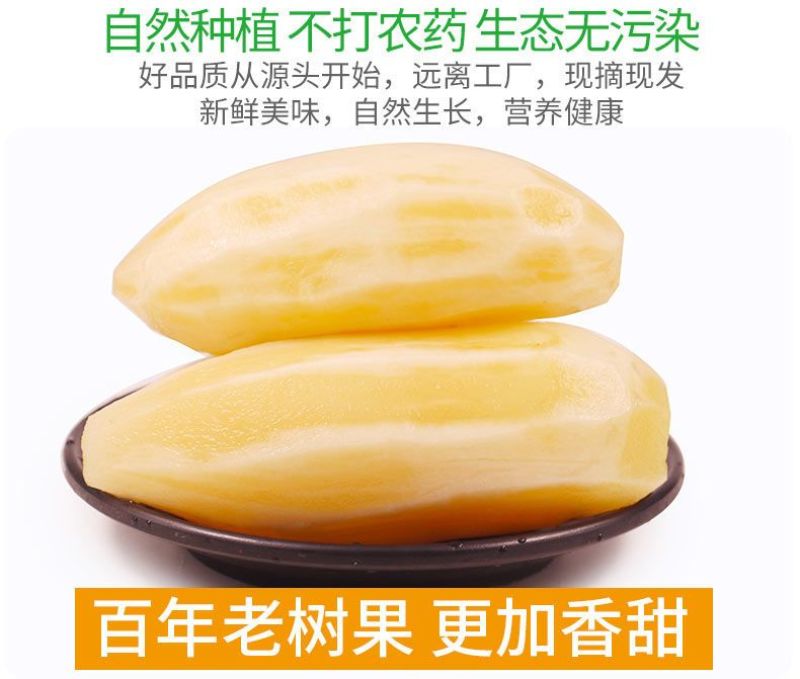 包邮【新鲜现挖】云南天山雪莲果新鲜整箱红心特级包邮现挖