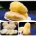 包邮【新鲜现挖】云南天山雪莲果新鲜整箱红心特级包邮现挖
