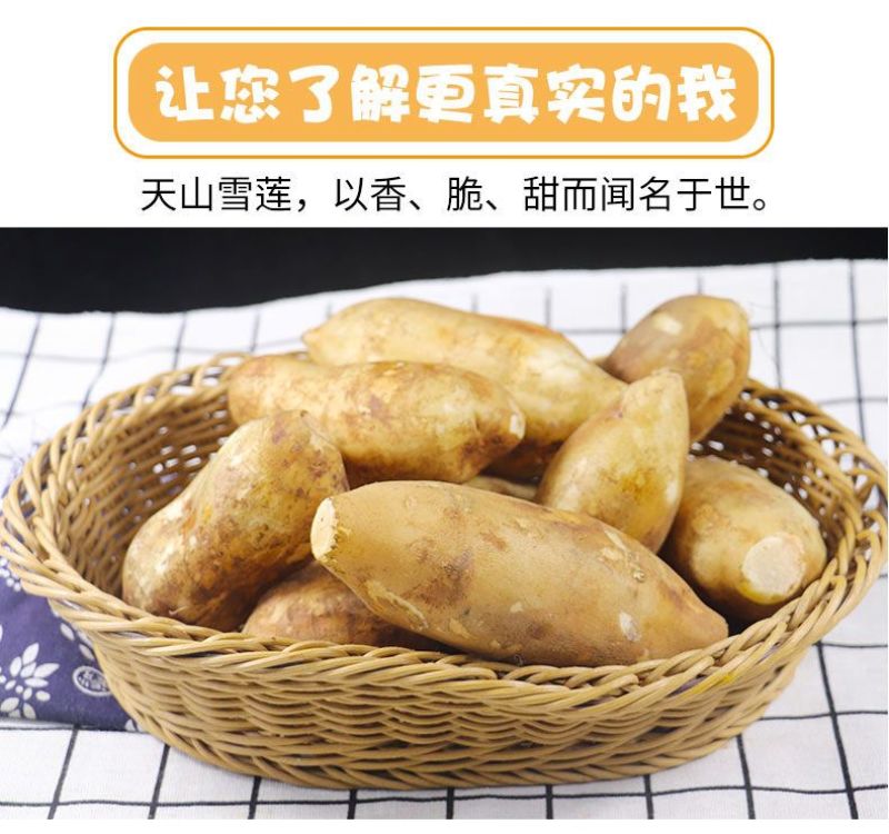 包邮【新鲜现挖】云南天山雪莲果新鲜整箱红心特级包邮现挖