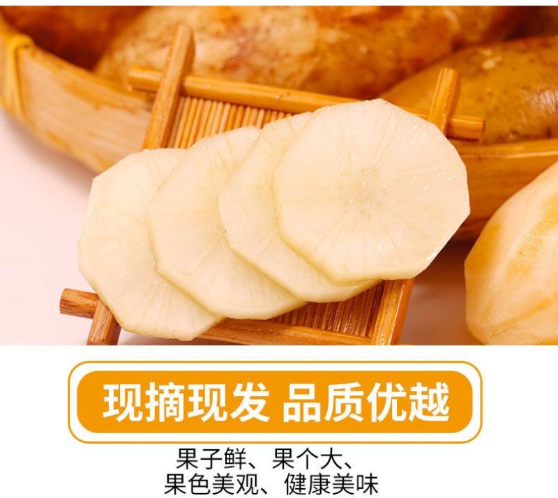 包邮【新鲜现挖】云南天山雪莲果新鲜整箱红心特级包邮现挖