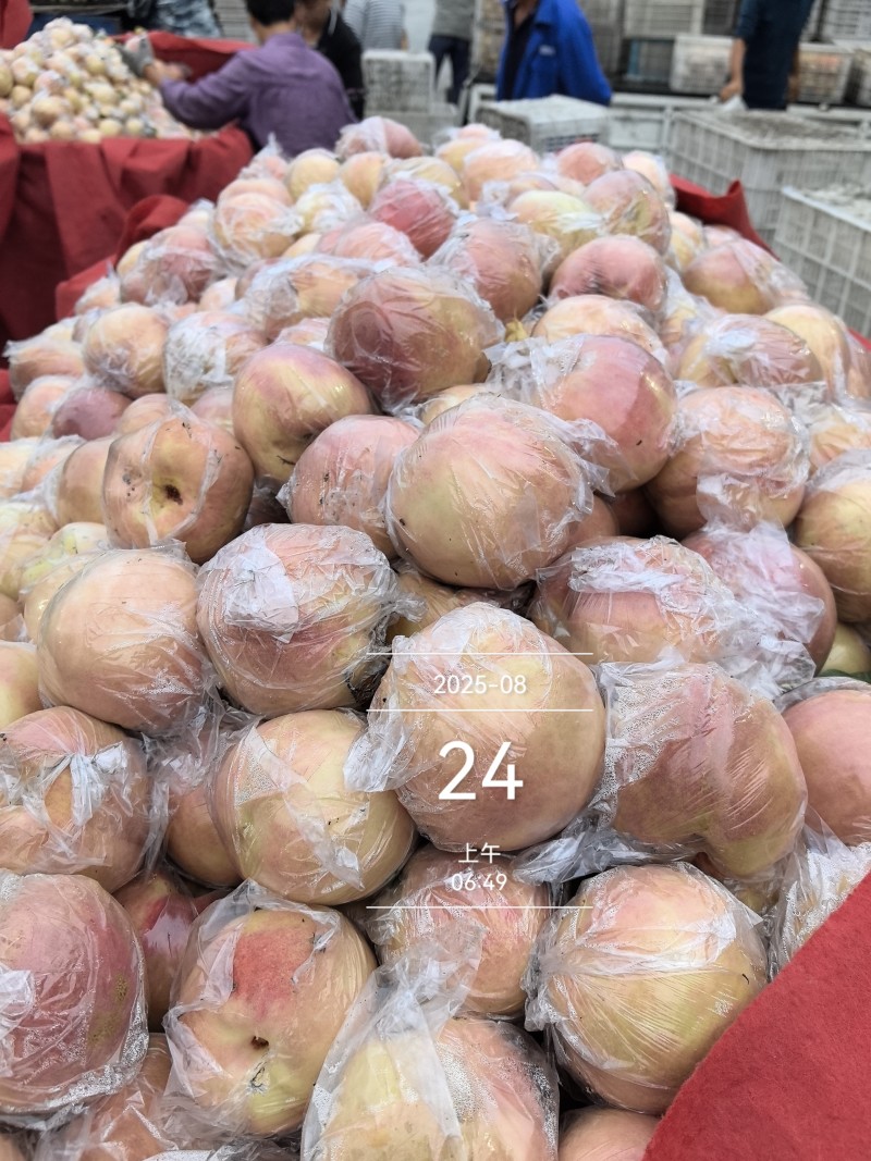 山西运城毛桃，超越桃，红帝王毛桃产地直供口感佳