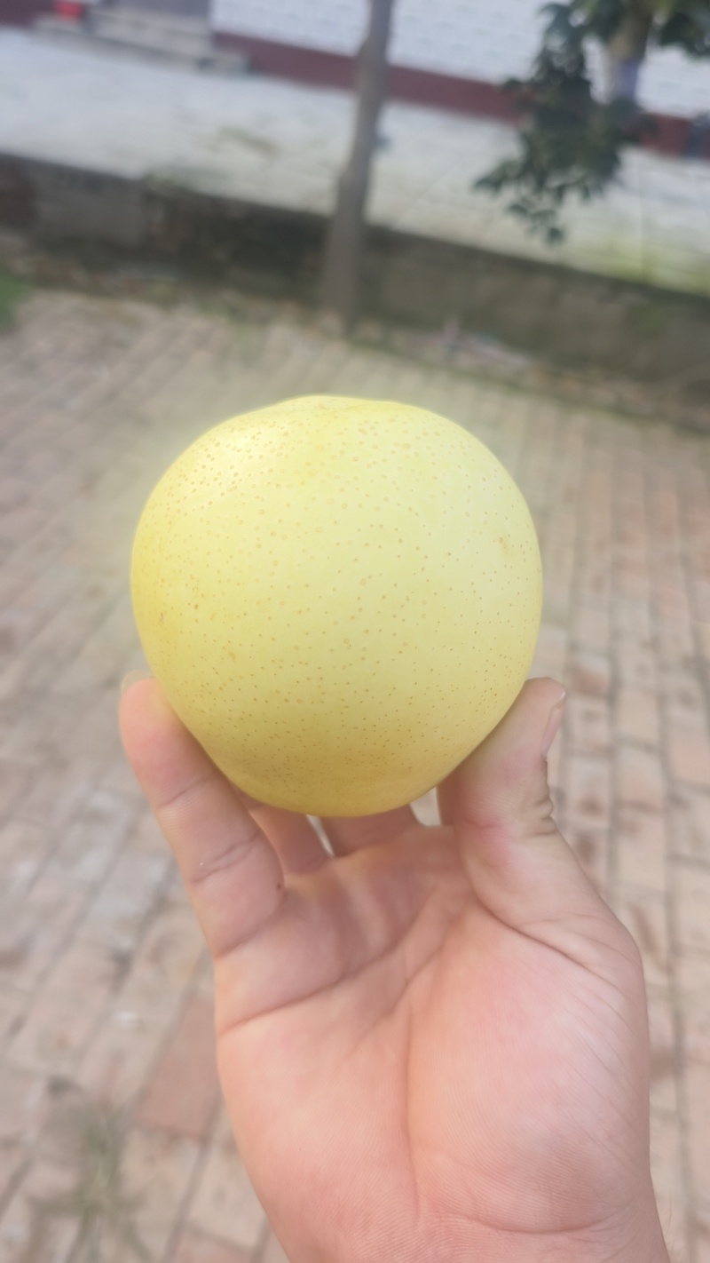 量大便宜