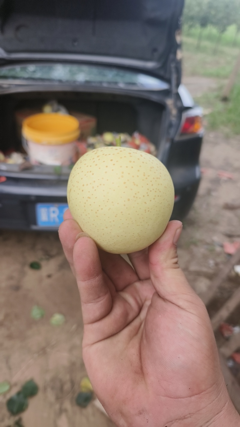 量大便宜