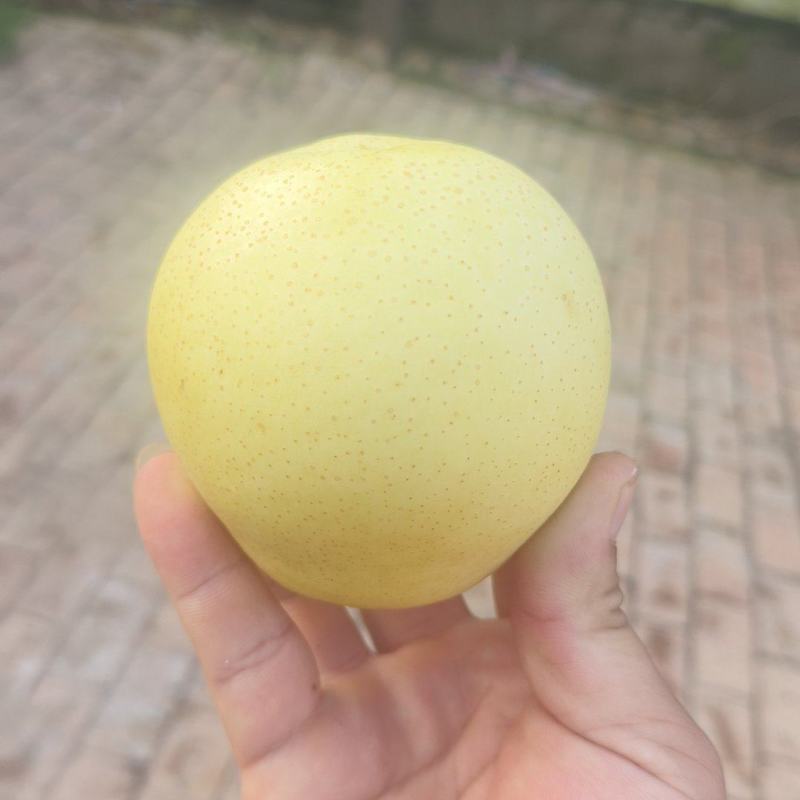 量大便宜