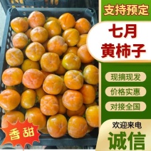 【精选】山西七月黄柿子产地直发一手货源对接各大市场。