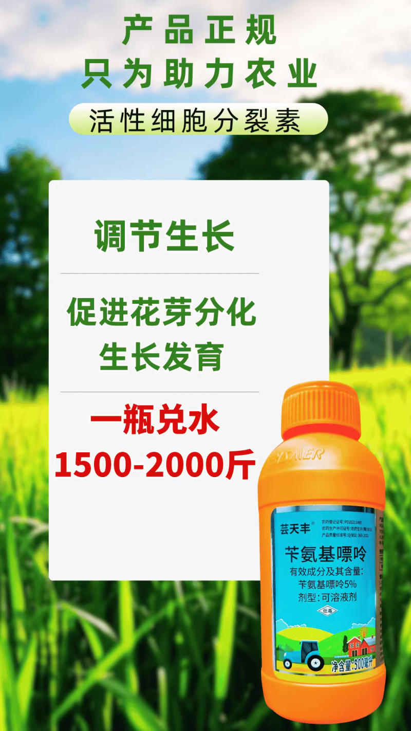 5%苄氨基嘌呤细胞分裂素促进花芽分化促长壮果膨果绿叶农用