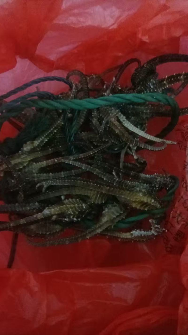 用来泡酒的