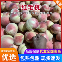蒙阴蜜桃红毛桃新世纪晚世纪中秋惠蜜品种齐全