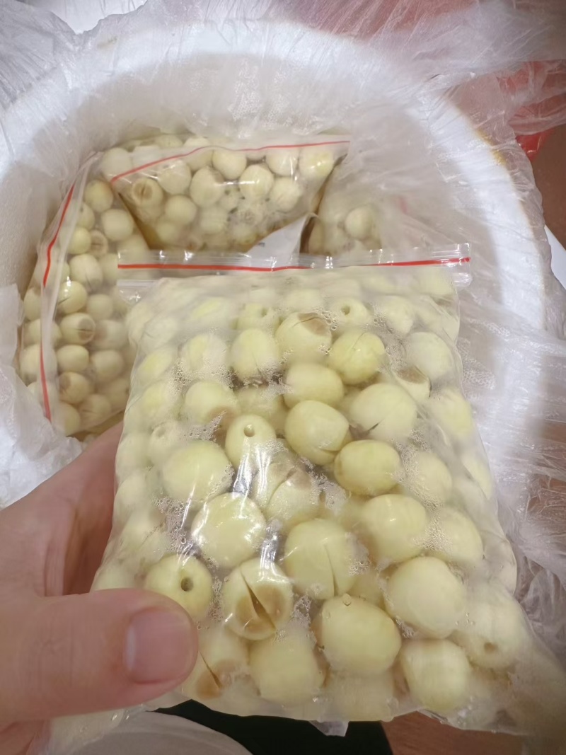 新鲜去心鲜白莲子，产地直供全国各地发货，商超电商社区团购
