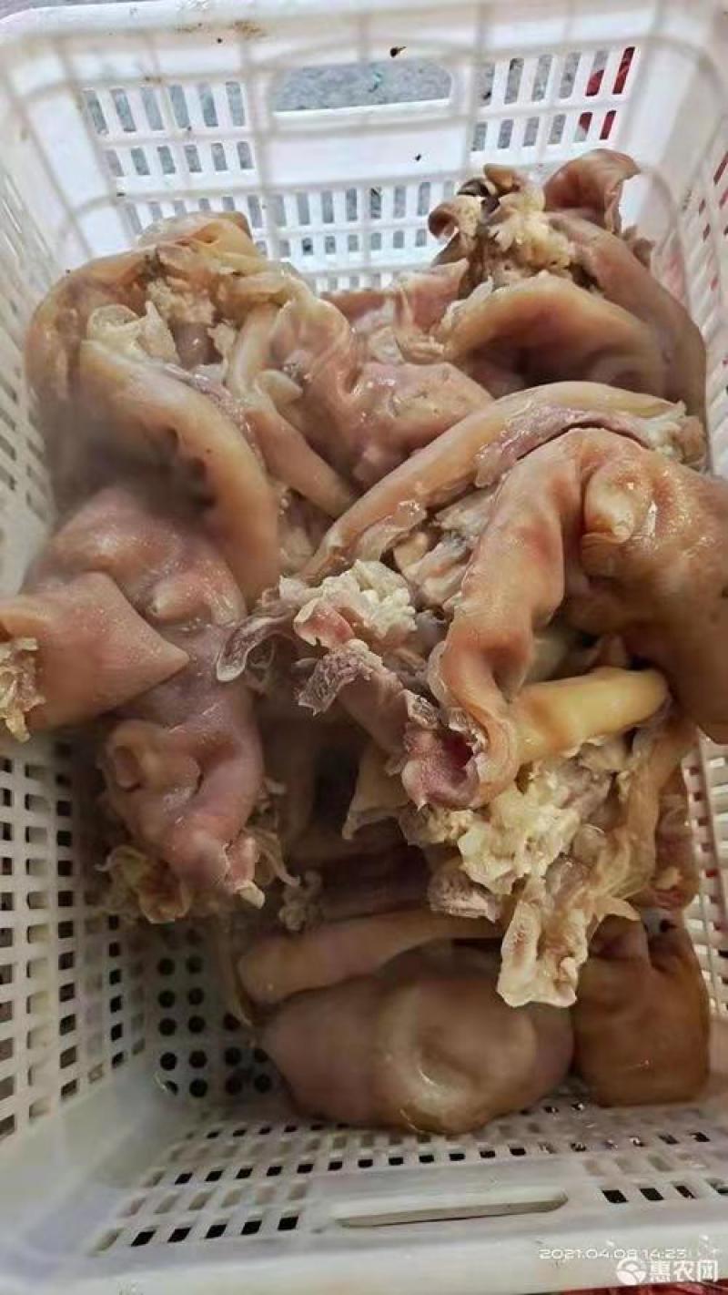 熟牛蹄