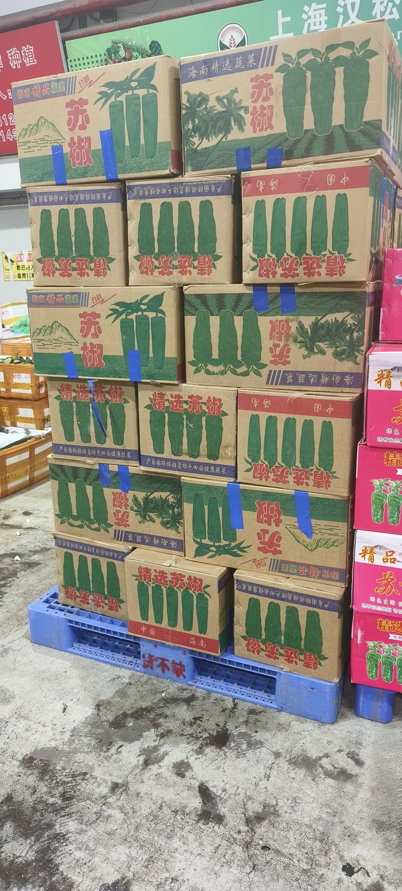 小米椒鲜辣采河南小米椒产地现货大量供应